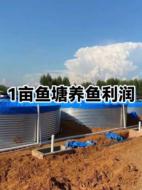 承包鱼塘养鱼赚钱吗缩略图