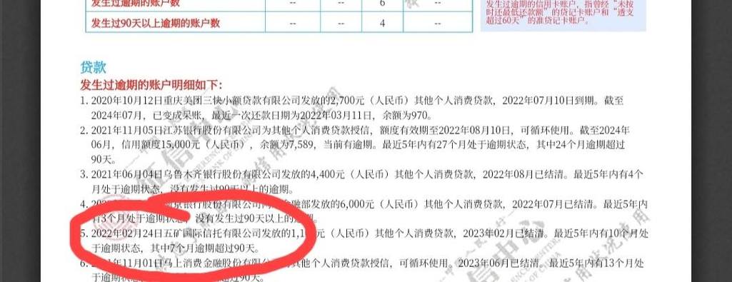 白条云闪付查征信吗