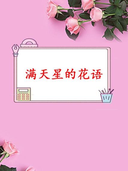 满天星玫瑰花束寓意缩略图