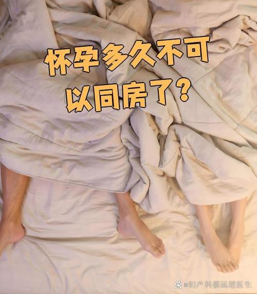刚发现怀孕还能同房吗游戏截图