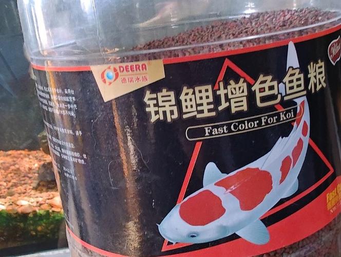 锦鲤饲料十大名牌排名游戏截图