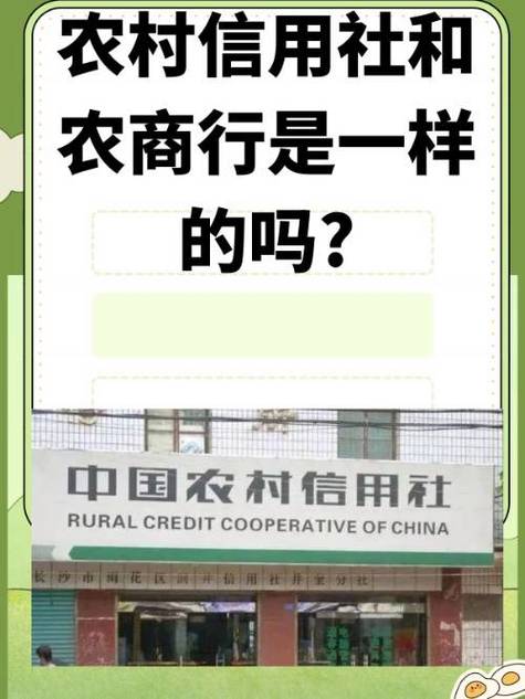 农村信用社四种颜色缩略图