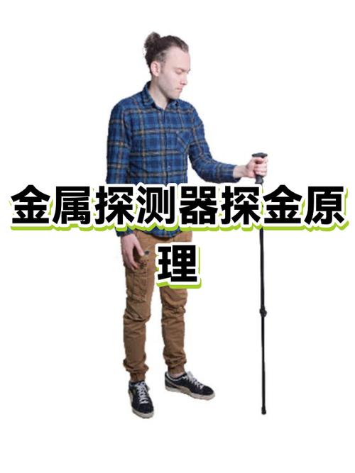 金属探测器多少钱一个游戏截图