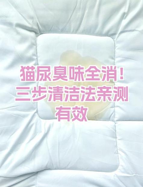 去除猫臭味的最好方法缩略图