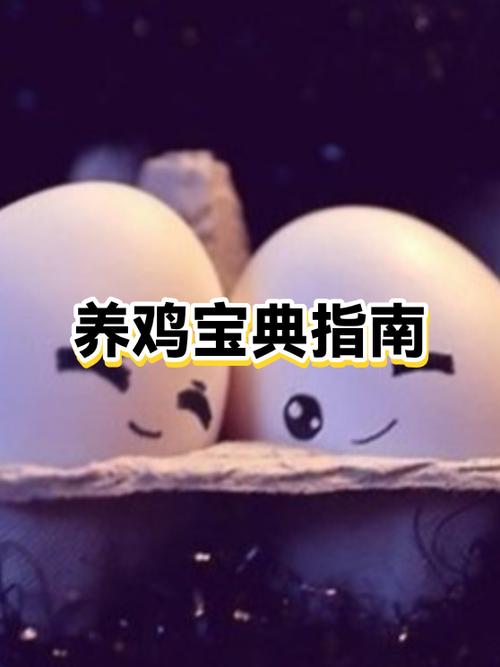 养鸡的照片高清图片缩略图