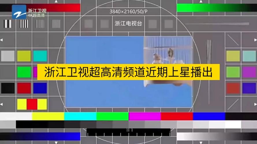 移动宽带电视没有浙江卫视游戏截图