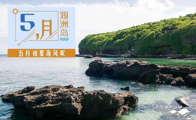 欢迎来到南方岛汉化版缩略图