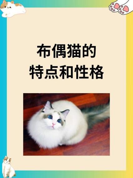 布偶一生认几个主人游戏截图