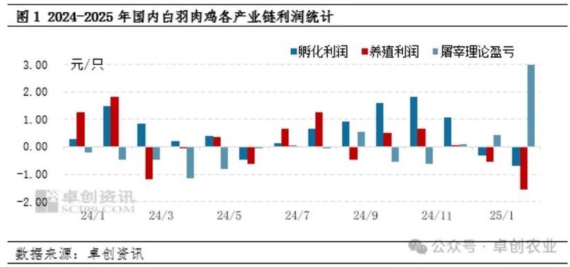 养鸡1000只利润和成本游戏截图