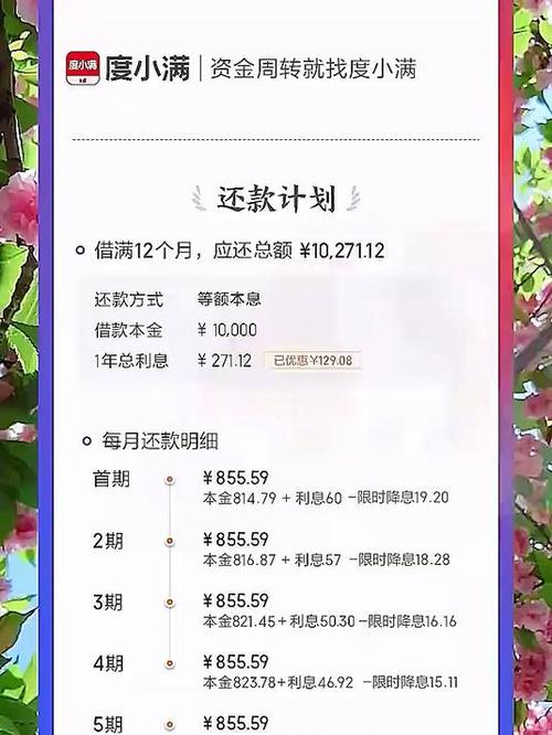 vivo钱包借钱利息高吗图标