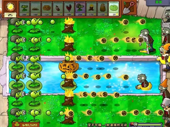 植物大战僵尸2010正版缩略图