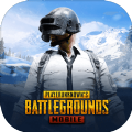 pubg国际服体验服地铁逃生下载安装下载缩略图