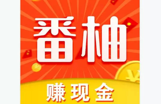 番柚短视频赚钱是真的吗?缩略图