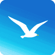 海鸥破解版加速器免费缩略图