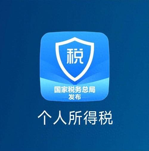 北京税务APP官方游戏截图