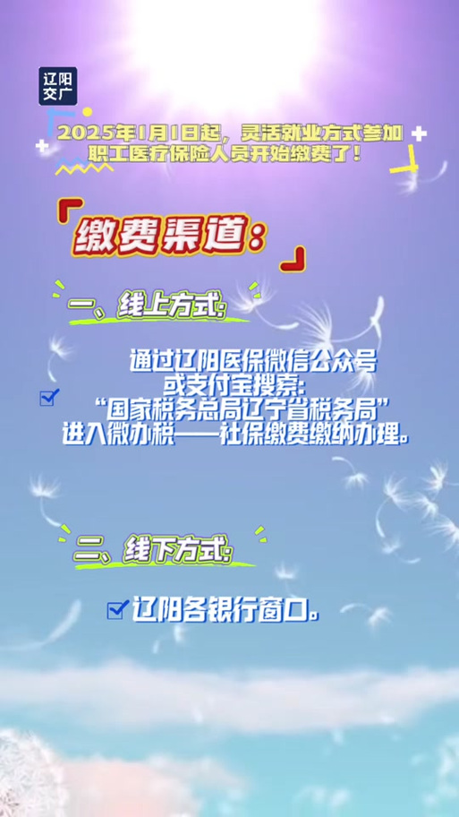 辽宁税务2025缴费怎么交不了游戏截图