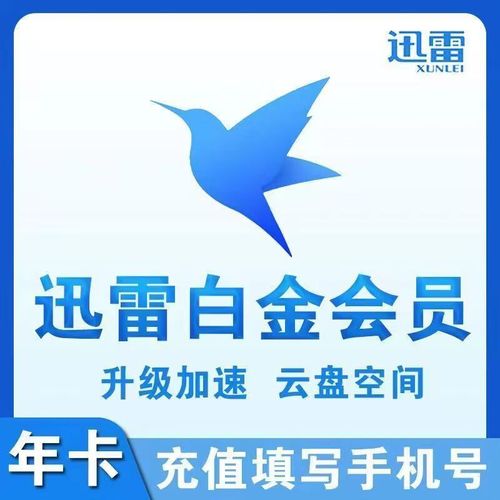 白嫖迅雷会员激活码2024缩略图