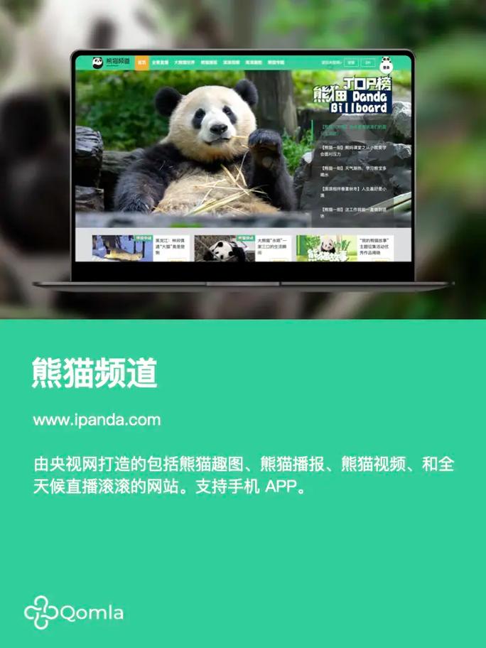 熊猫网app官方最新版本更新内容缩略图
