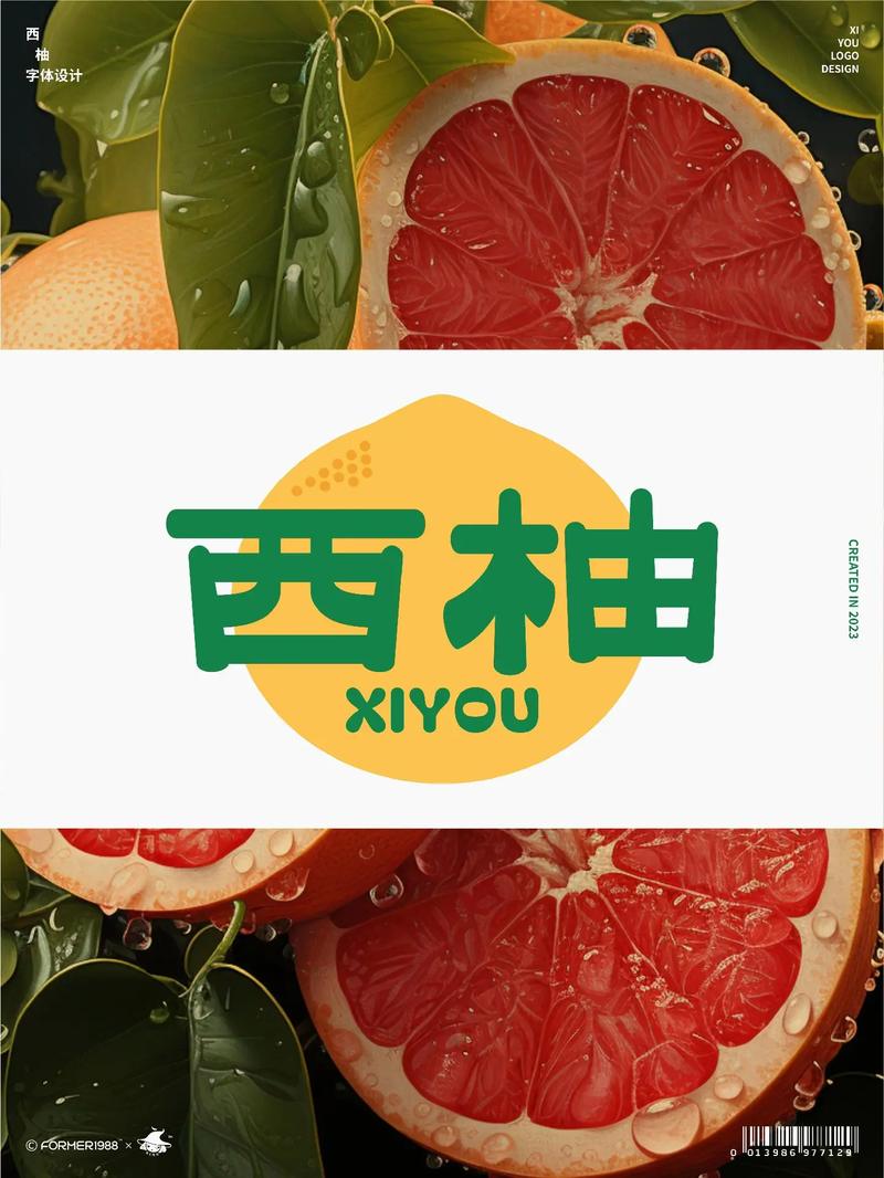 西柚书屋官网入口图标