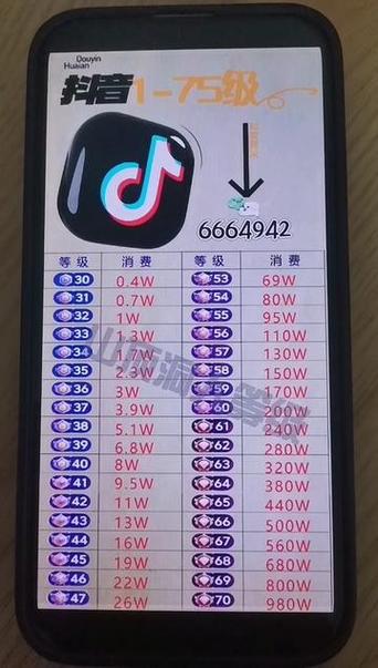 抖音**是多少等级缩略图