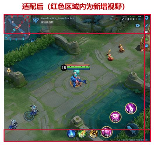 王者荣耀全图视野辅助器v1.0缩略图