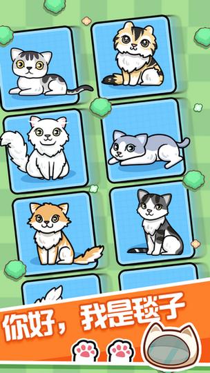 养猫达人红包版v1.0缩略图