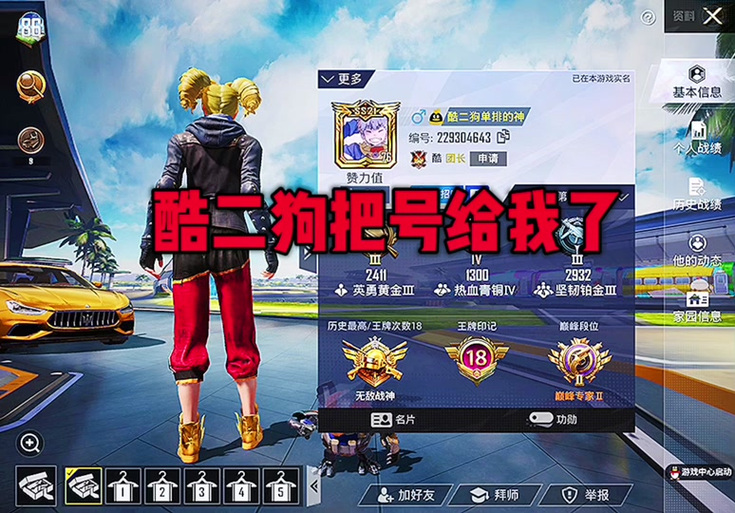 和平精英酷二狗美化包缩略图