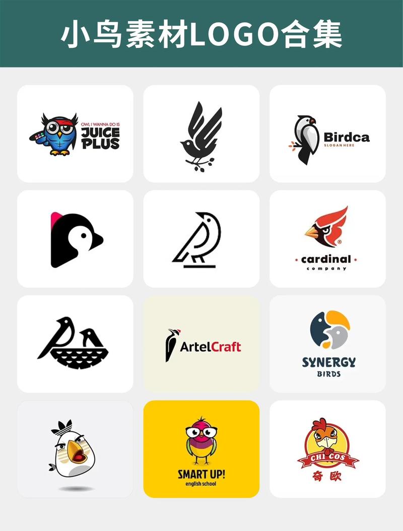 雏鸟vlog短视频缩略图