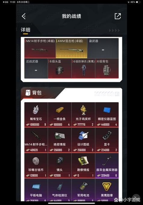 和平精英范围拾取挂无限金币版游戏截图
