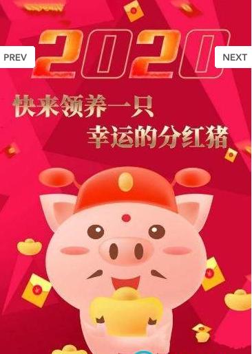 陀螺养猪V1.0游戏截图