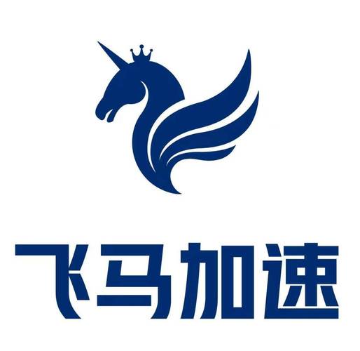 NPV加速器缩略图