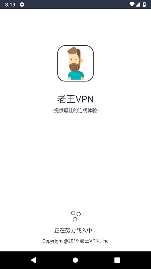 老王vp加速器官网版缩略图
