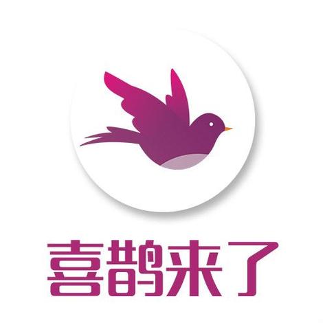 喜鹊快讯游戏截图