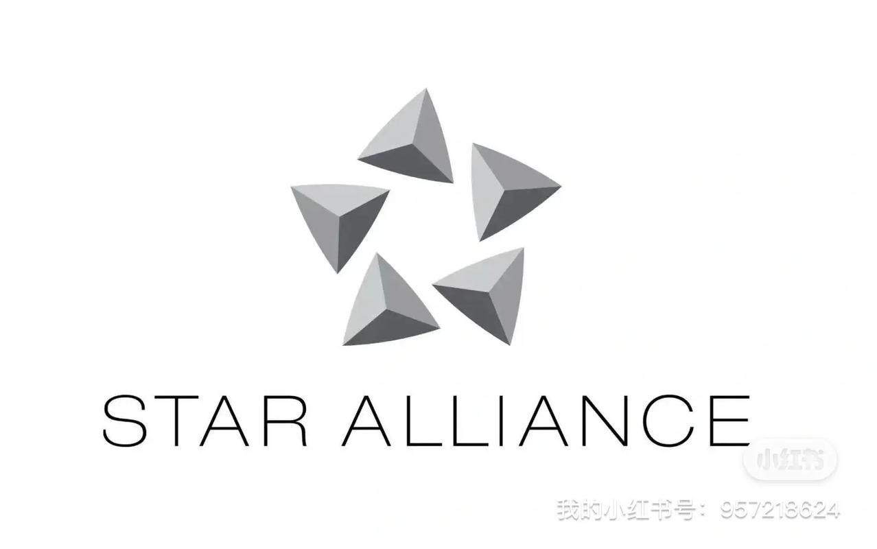星芒联盟缩略图