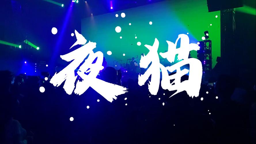 夜猫影视官方版缩略图