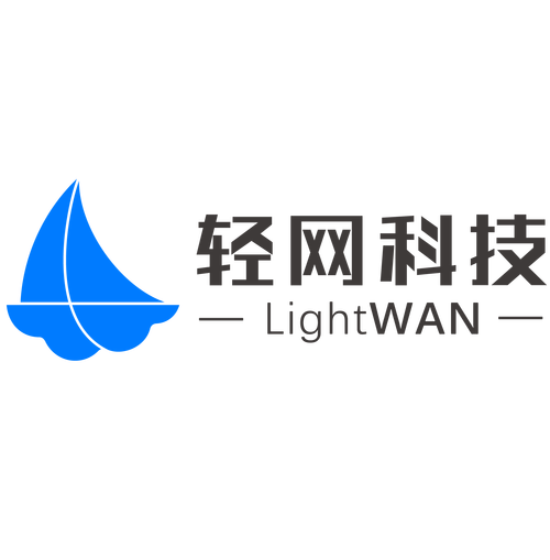 十大免费网站推广入口轻量版缩略图