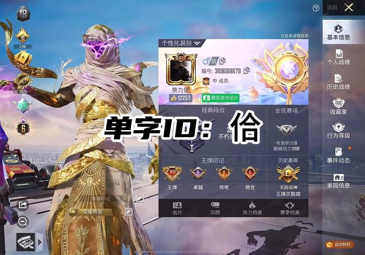 和平精英单字id生成器2024缩略图