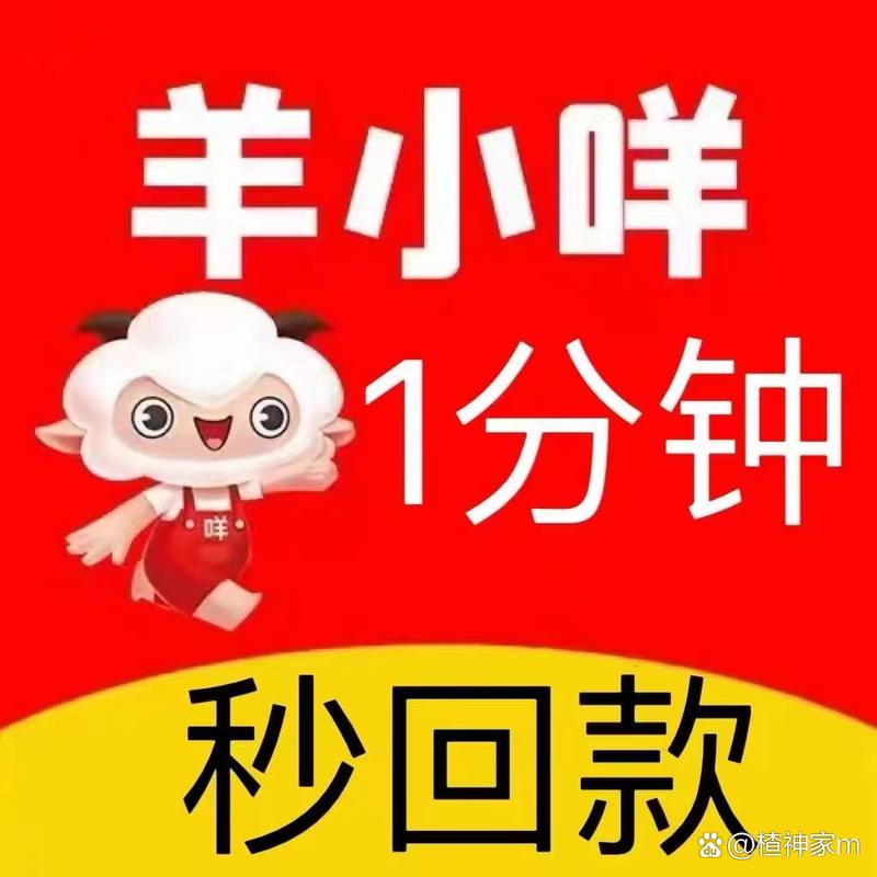 小绵羊(赚钱神器)app缩略图