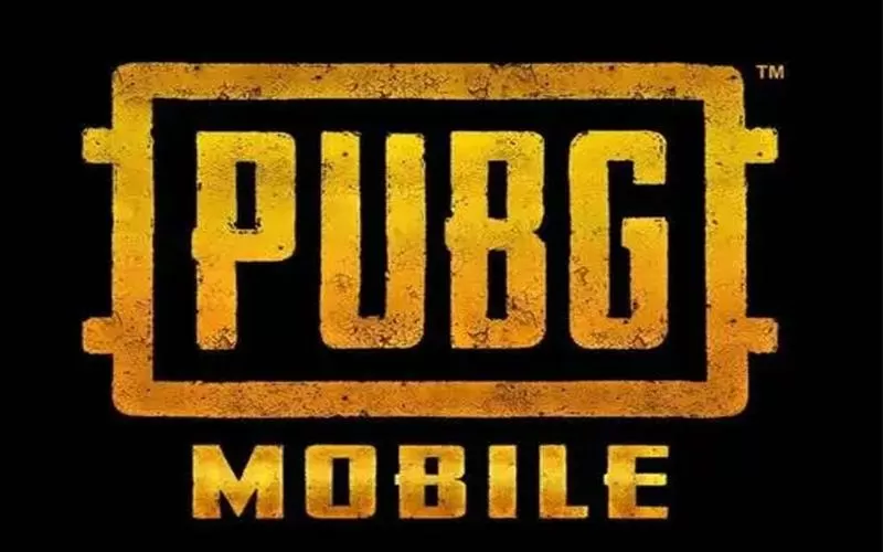 PUBG轻体直装2024缩略图