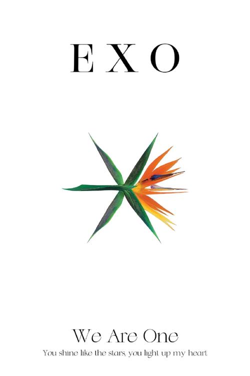 exo清软完结破解版缩略图