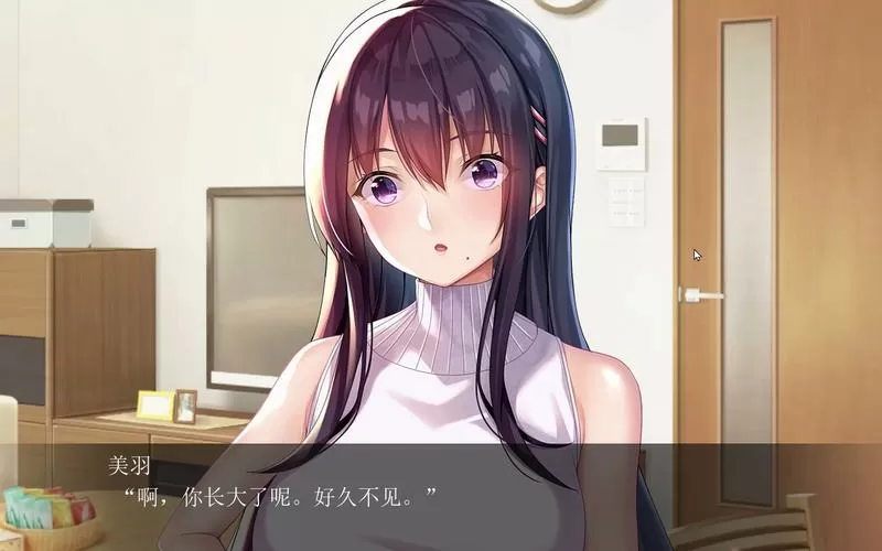 请停手吧姐姐大人要断了破解版 v1.0缩略图