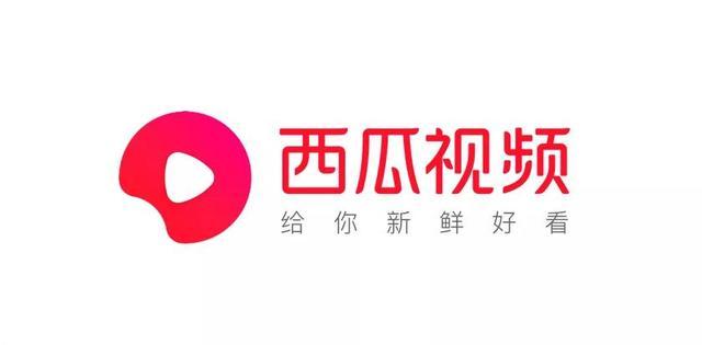 西瓜视频极速版赚钱永久vip缩略图