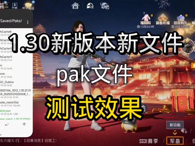 改文件和平精英免费改文件免费阅读缩略图