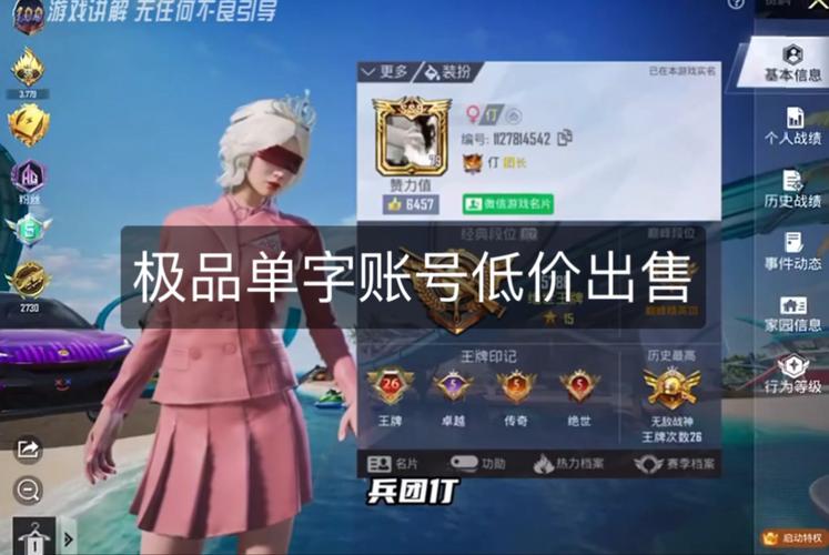 吃鸡高仿单字id缩略图