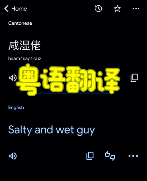 在线翻译广东话缩略图