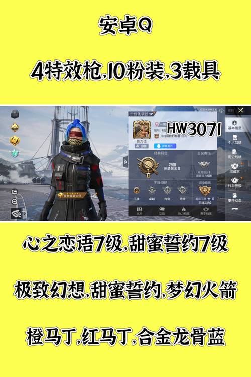和平精英买挂平台3元缩略图