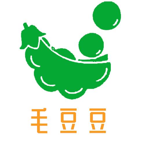 毛豆直装V6.0科技图标