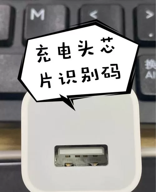 拔充电器先拔数据线还是插头游戏截图
