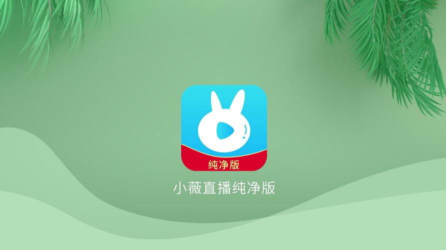小薇直播tv电视版官方缩略图