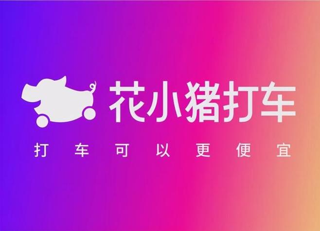 滴滴车主可以注册花小猪车主吗游戏截图